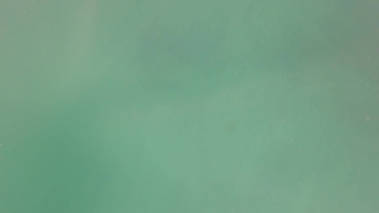Opening underwater frame from San Jose Del Cabo showing green-blue shallow water, faint suspended particles, and no visible people.