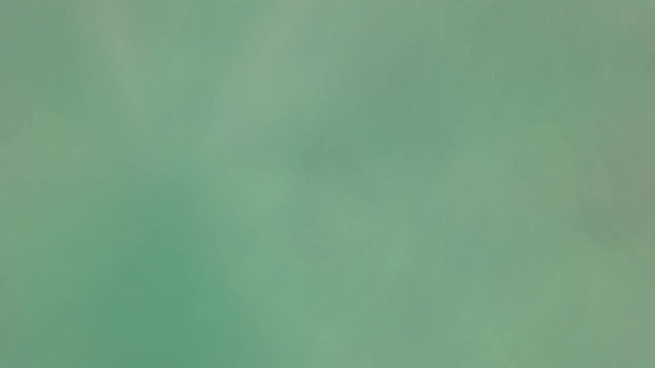 Mid-clip underwater frame from San Jose Del Cabo with muted green-blue water, faint darker shapes below the surface, and no visible people.