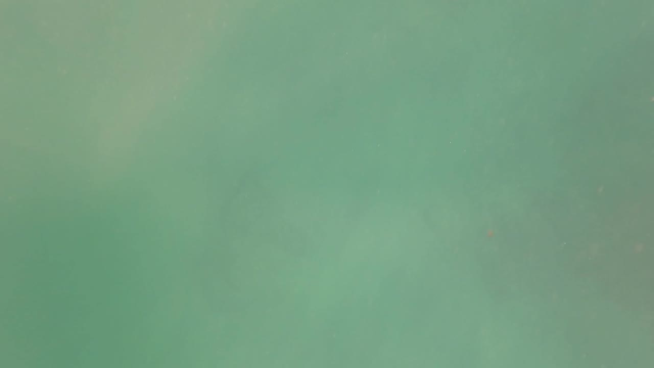 Green underwater scene with light haze and small floating specks.