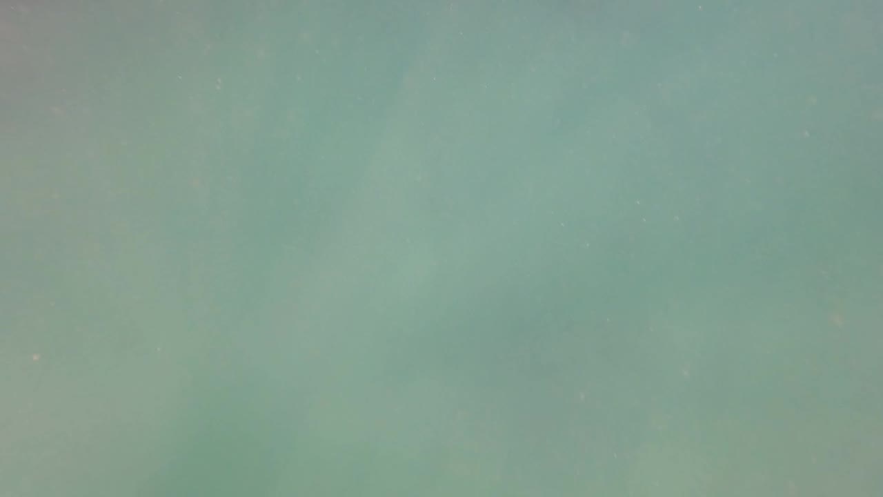 Clear blue-green underwater frame from San Jose Del Cabo with a partial dark gloved hand entering from the upper edge, suspended particles, and no visible people.