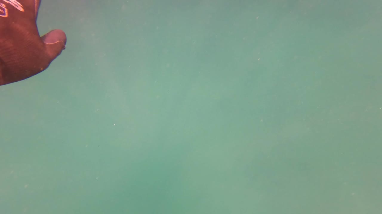 Gloved hand and patterned sleeve reaching across clear underwater water.