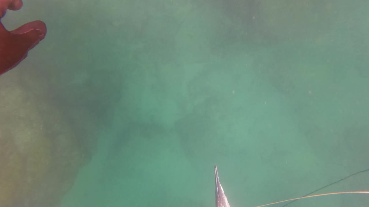 A partial fish and angled fishing line sit near the lower frame as a red-gloved hand enters from above in San Jose Del Cabo water, with no visible face or full person.