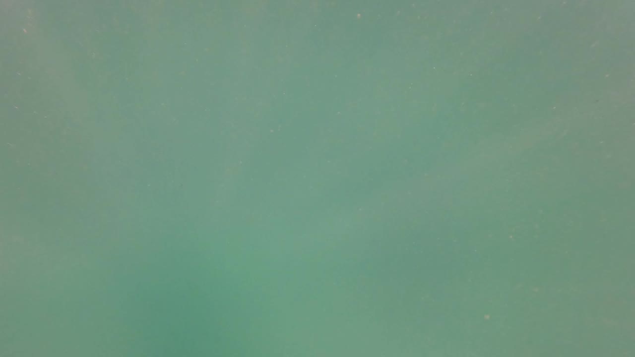 Submerged green water in San Jose Del Cabo with faint suspended particles and no visible people.