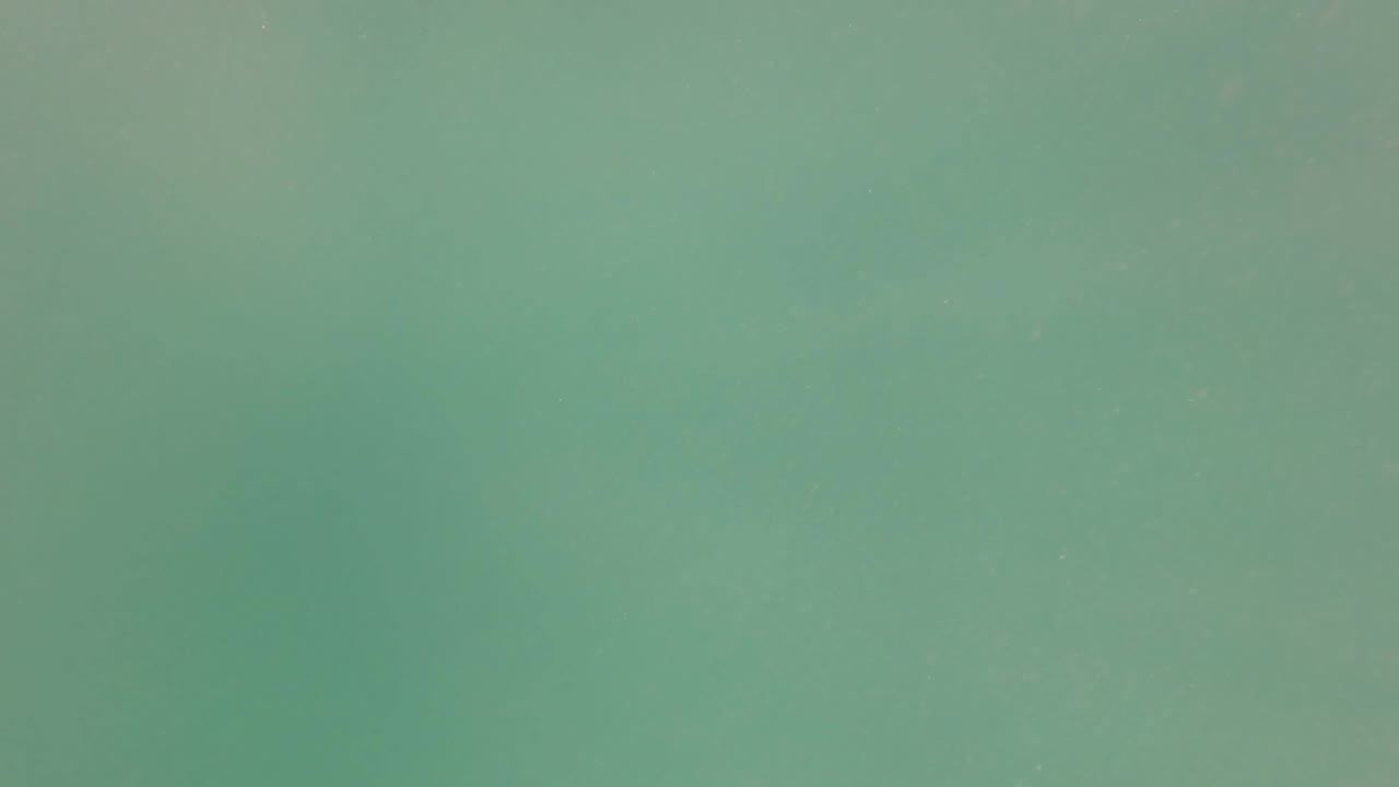 Underwater green water in San Jose Del Cabo with soft darker forms deeper in the frame and no recognizable people.