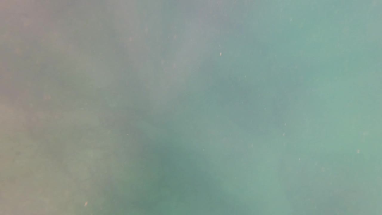 A pale turquoise pool-water surface in San Jose del Cabo shows faint specks and soft uneven light, with no hand or person visible in this moment.