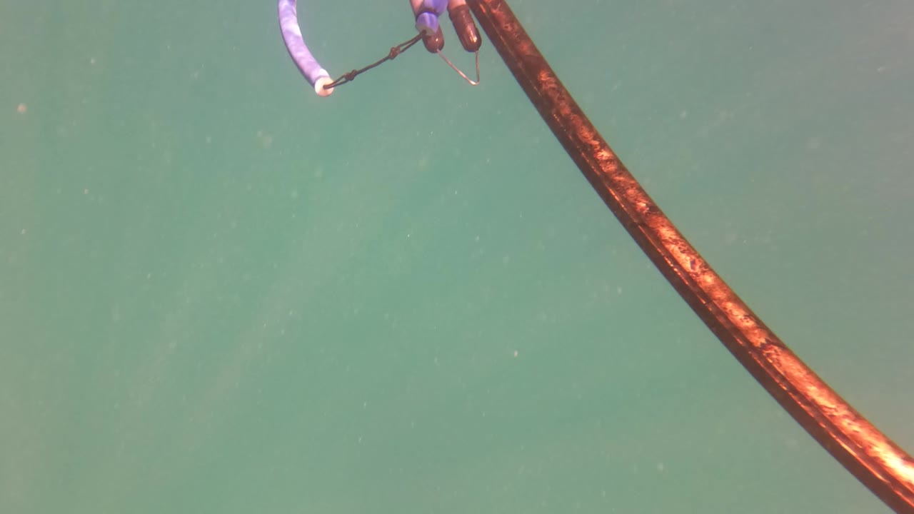 Fishing rod entering green water near the surface