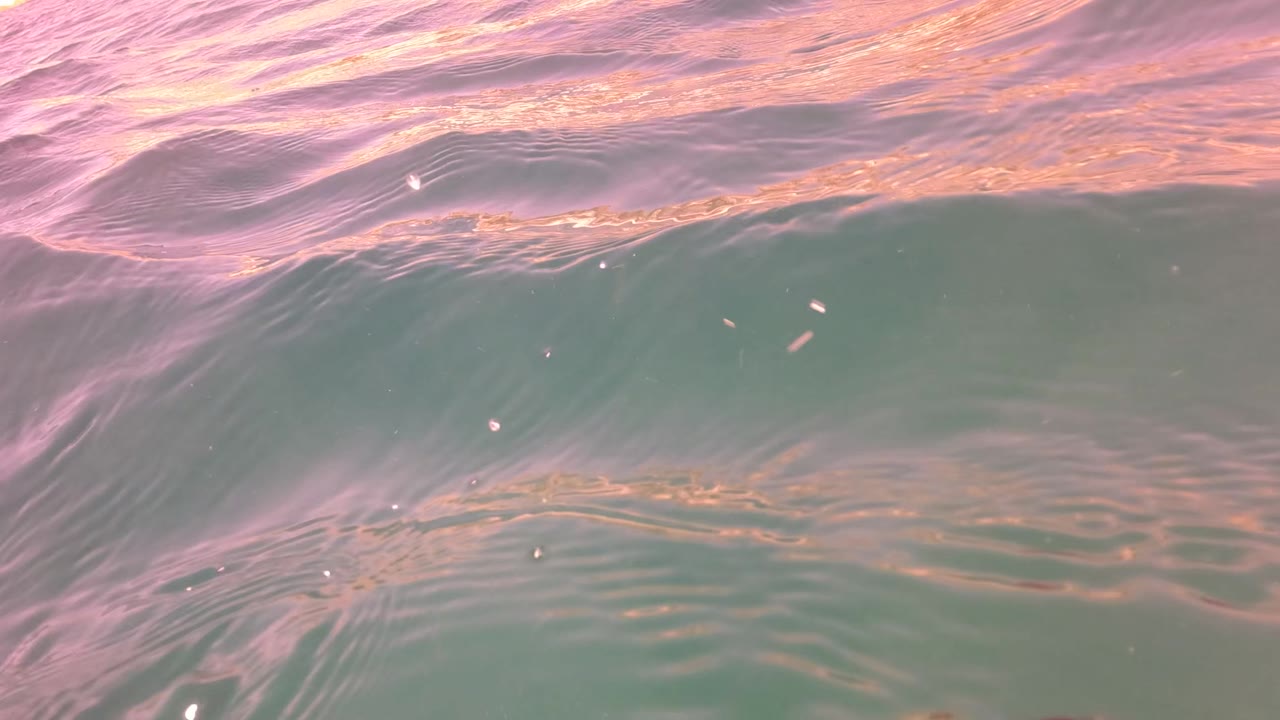 The water surface fills the frame in San Jose del Cabo, with pink reflected light, soft ripples, and no visible people.