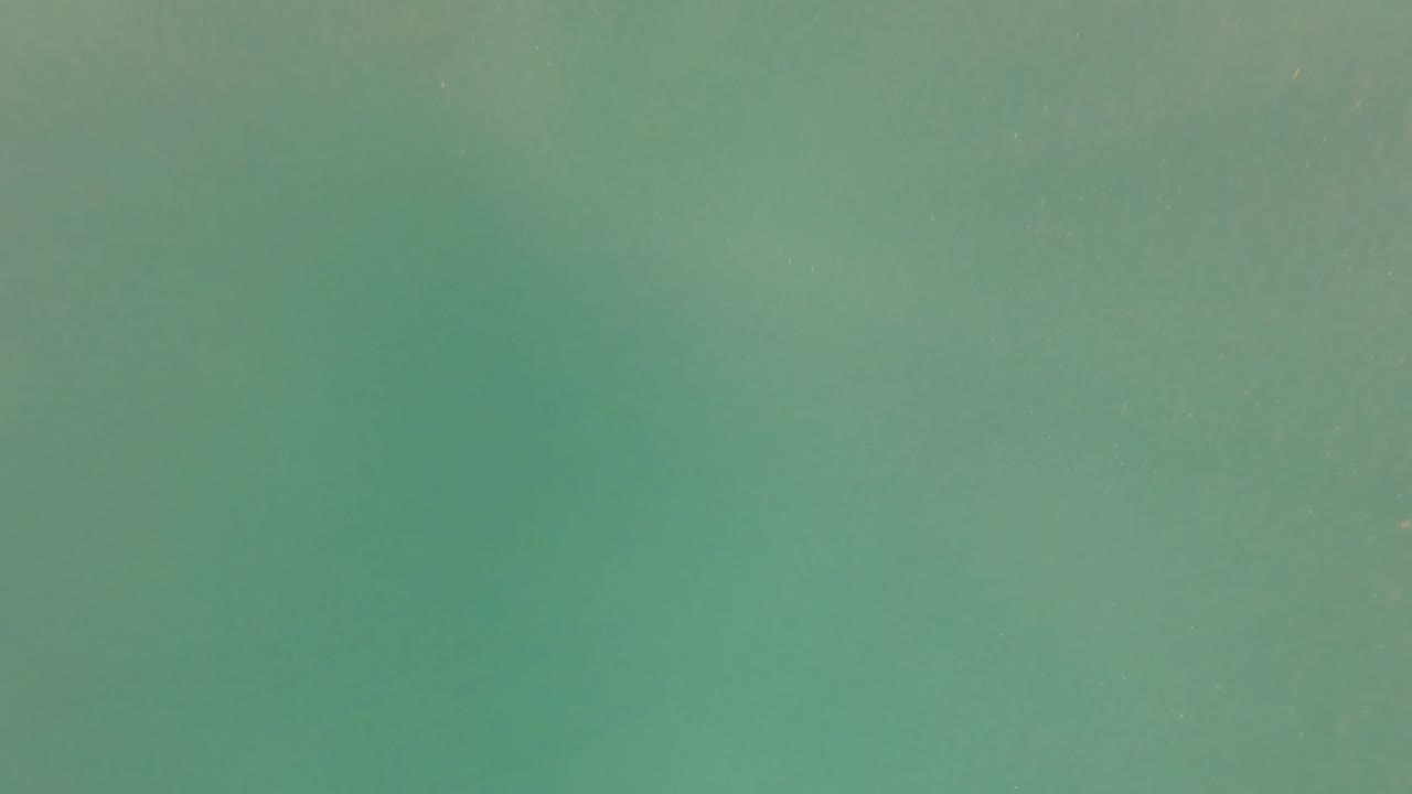 Submerged green-turquoise water in San Jose del Cabo fills the frame, with faint particles and no visible people.