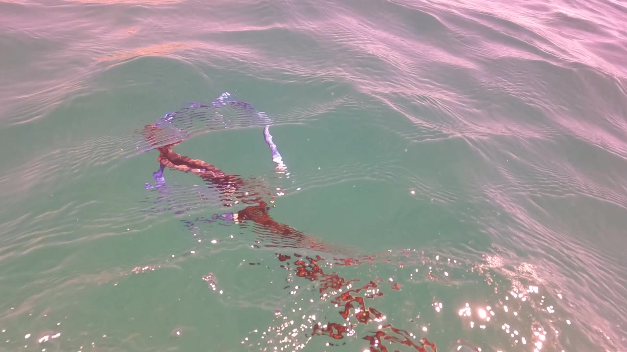 Water-surface frame in San Jose del Cabo with pink highlights on small waves and a snorkeler or swimmer gear shape visible just under the water near the right side.