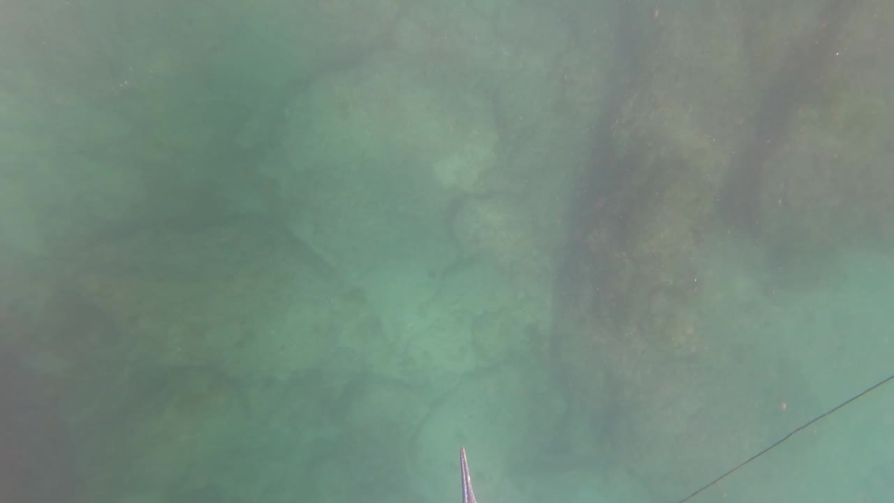 Green underwater rocks with a pointed tool tip at the bottom edge.