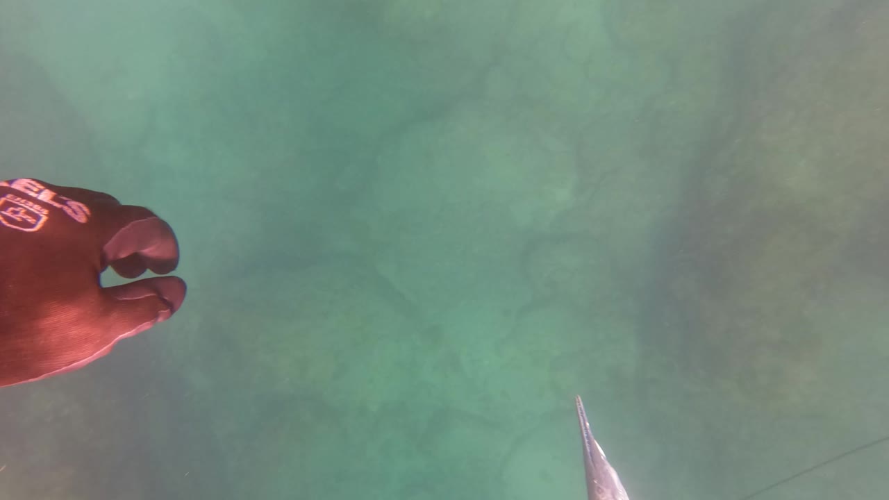 A red diver glove enters near the top of the San Jose Del Cabo underwater frame while rocks and a pointed tool tip remain visible below, with no visible face or full person.