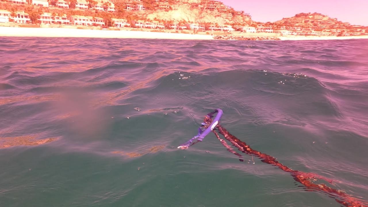 A red line and purple loop ride over the ocean surface in San Jose del Cabo, with the beach, hillside buildings, and pink sky visible beyond the waves.