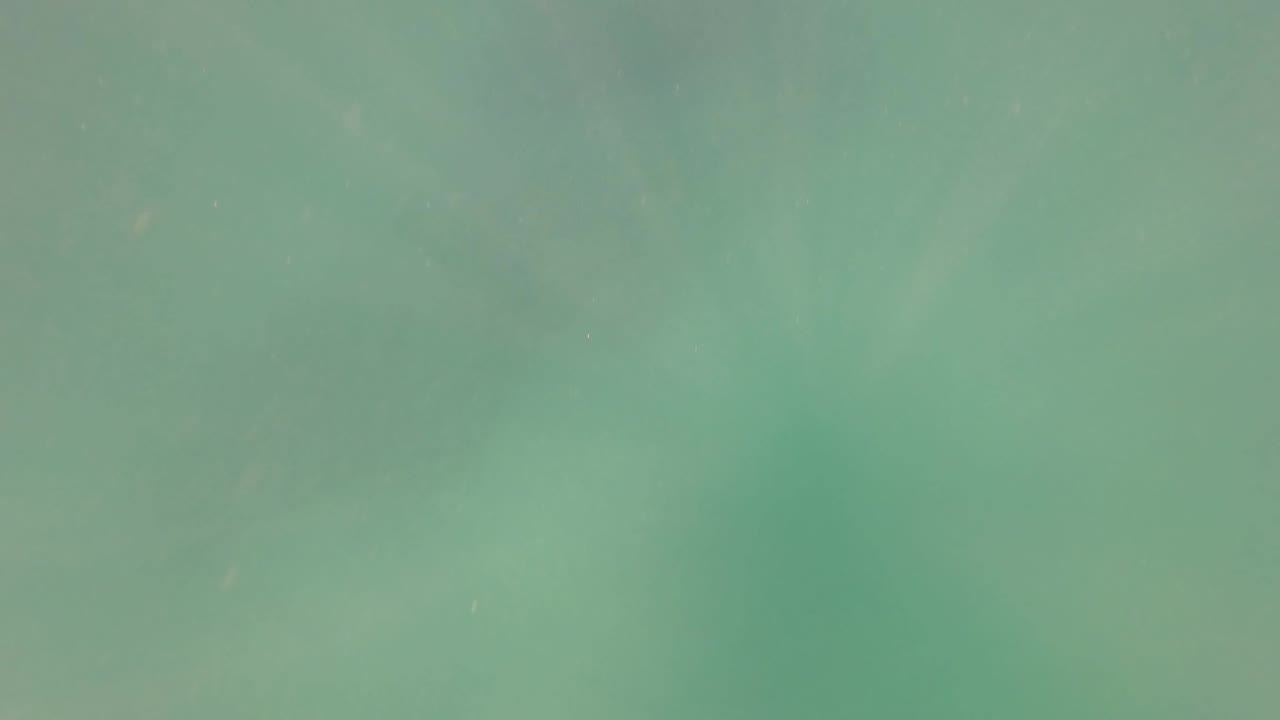 Green underwater view in San Jose del Cabo with suspended particles, faint light bands, and no visible people in the frame.