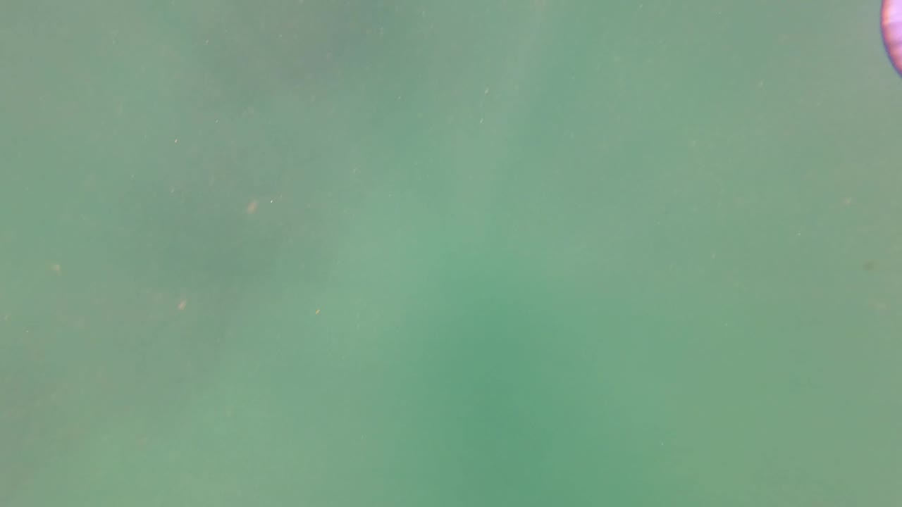 Open green water in San Jose del Cabo shows a hazy underwater field with small particles and no visible people.