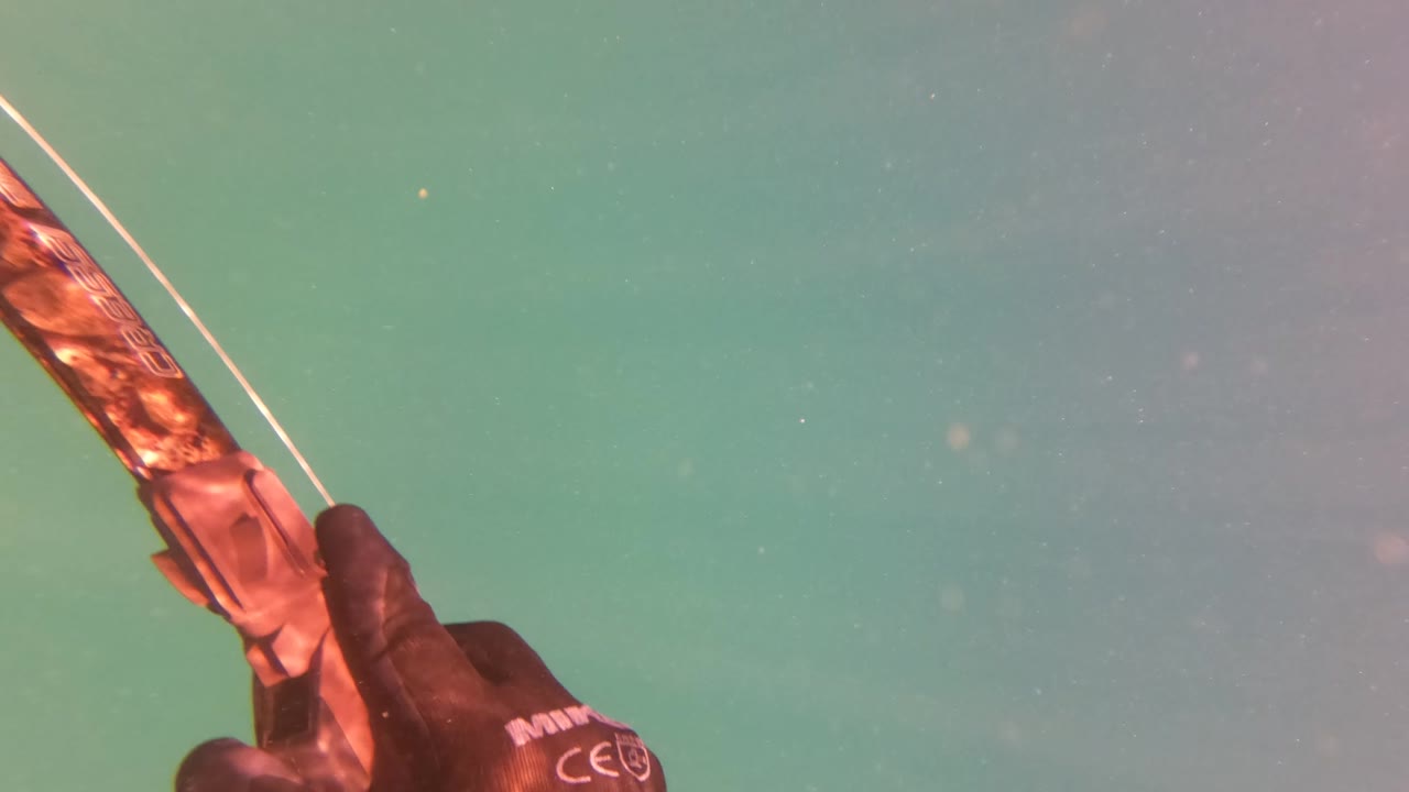 A gloved diver hand holds a drawn bow at the upper right of a green underwater frame in San Jose del Cabo, with no face or full person visible.