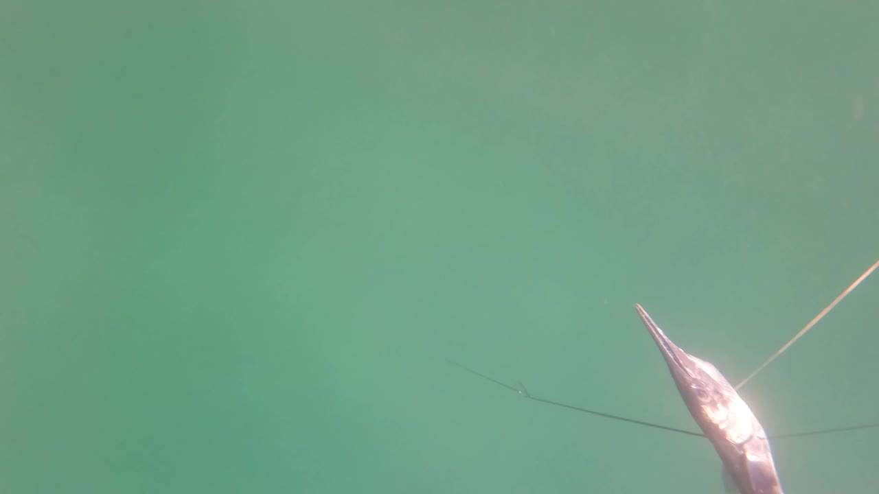 The hooked fish sits higher in the green underwater frame at San Jose Del Cabo, with the fishing line angling upward and soft light reflecting off the fish, no visible people.