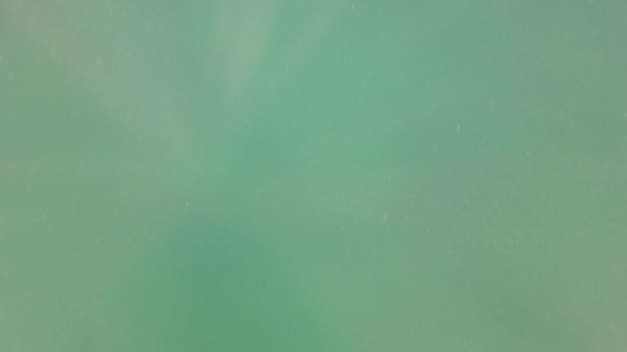 Green underwater frame with faint bubbles and filtered light