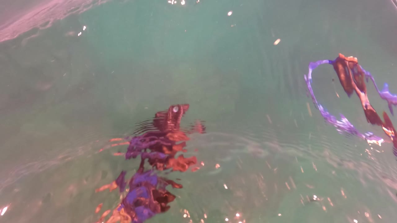 A diver's hand breaks the rippled water surface in San Jose del Cabo, Baja California Sur, with pink and green reflections across the frame.