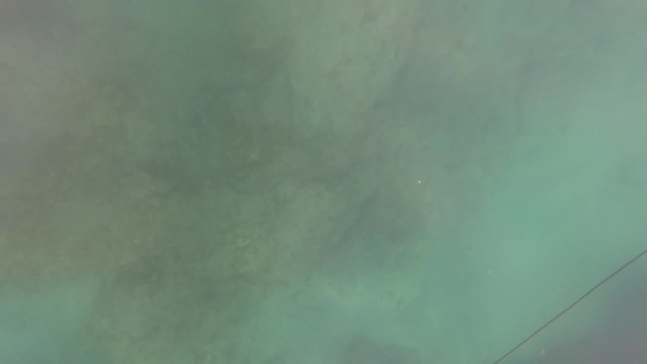 Underwater seabed seen through cloudy green water with a diagonal line.