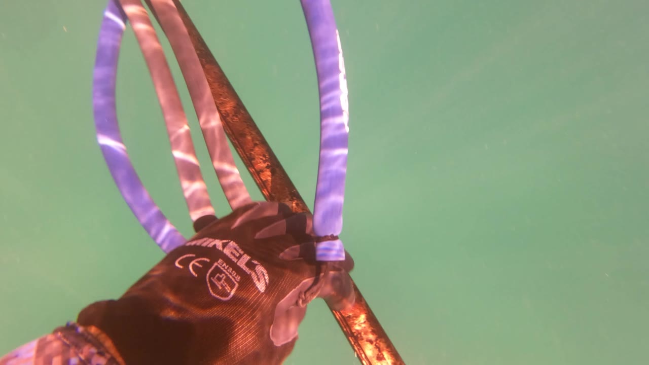 A gloved diver hand holds a speargun with blue bands underwater in San Jose del Cabo, with green water filling the background and no visible people.