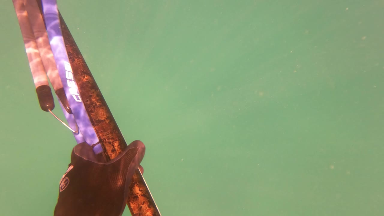Speargun bands and handle section against green underwater background.