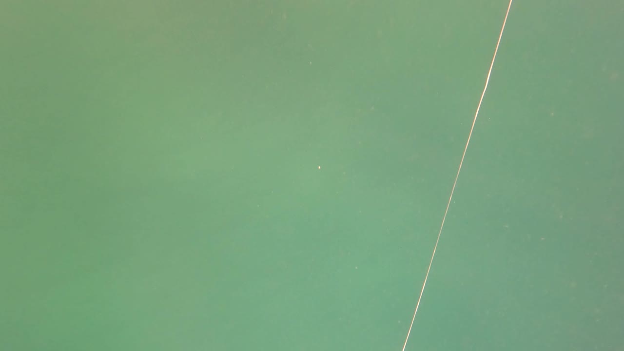 Green ocean water in San Jose Del Cabo with a thin fishing line slanting through the frame and no visible people.