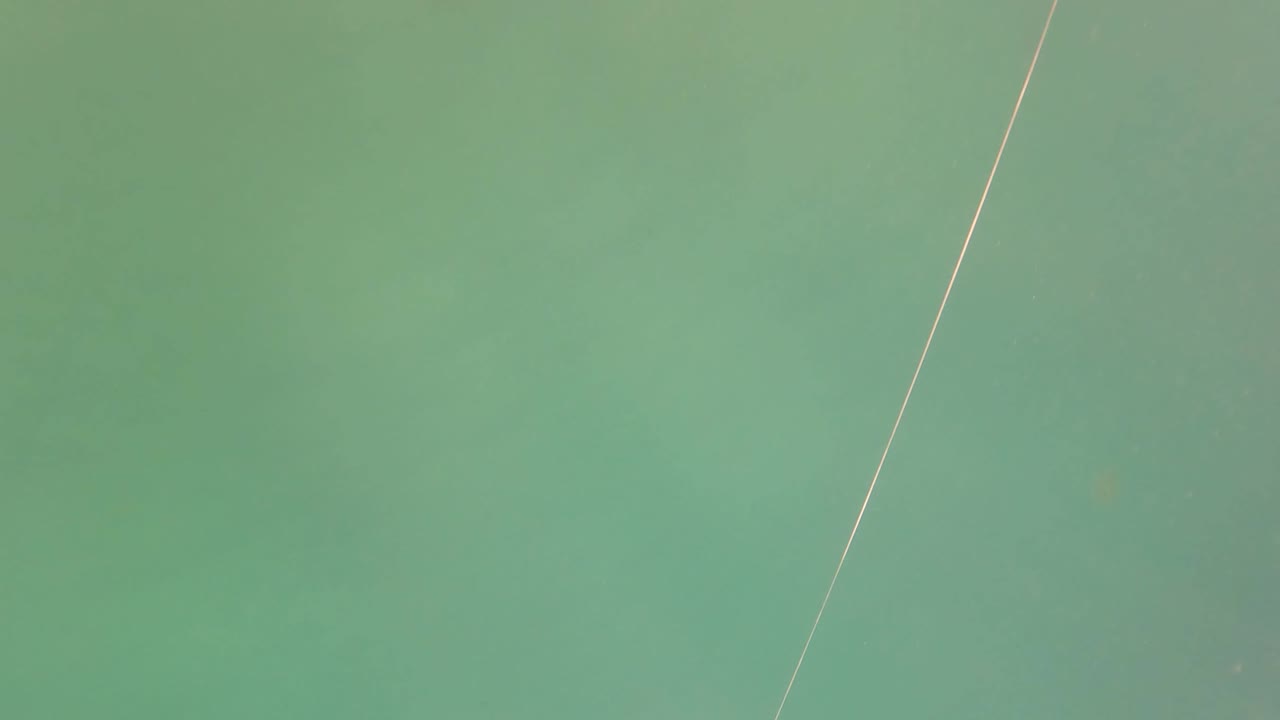 Green water with a pale fishing line running down from the top edge.