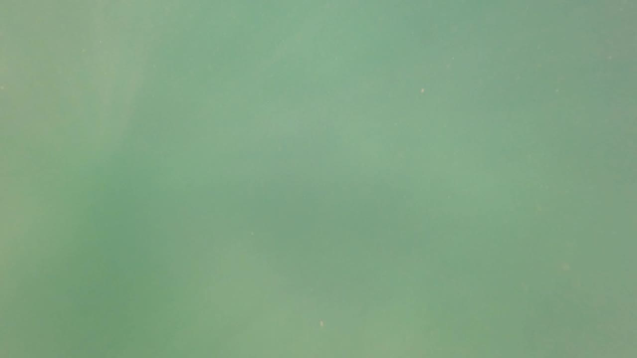 Open green-blue water in San Jose Del Cabo shows faint submerged shapes and suspended particles, with no visible people.