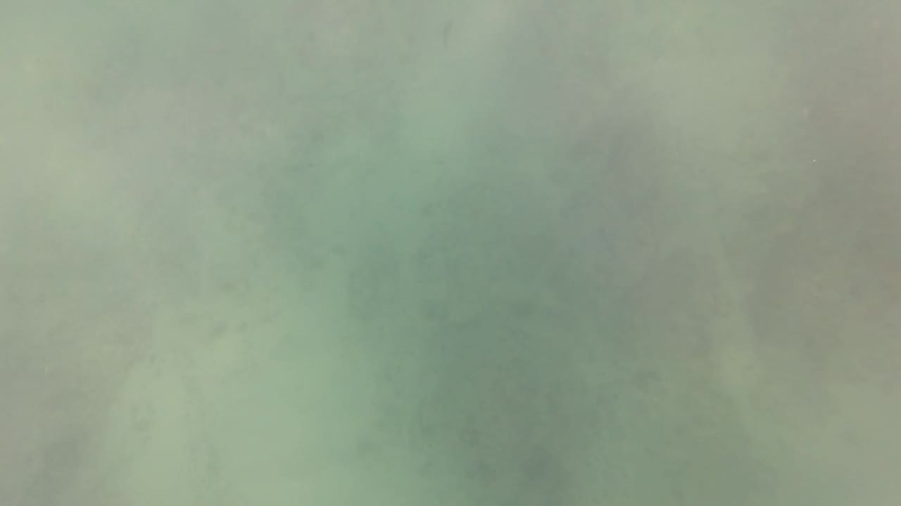 Murky green-blue underwater view in San Jose Del Cabo, Mexico, with blurred seabed forms and no visible people.
