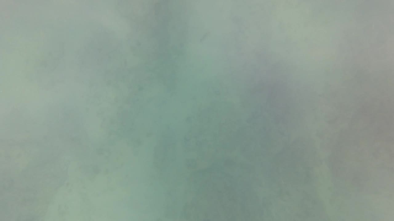 Green underwater frame from San Jose Del Cabo, Mexico, showing hazy rock shadows below the camera and no visible people.