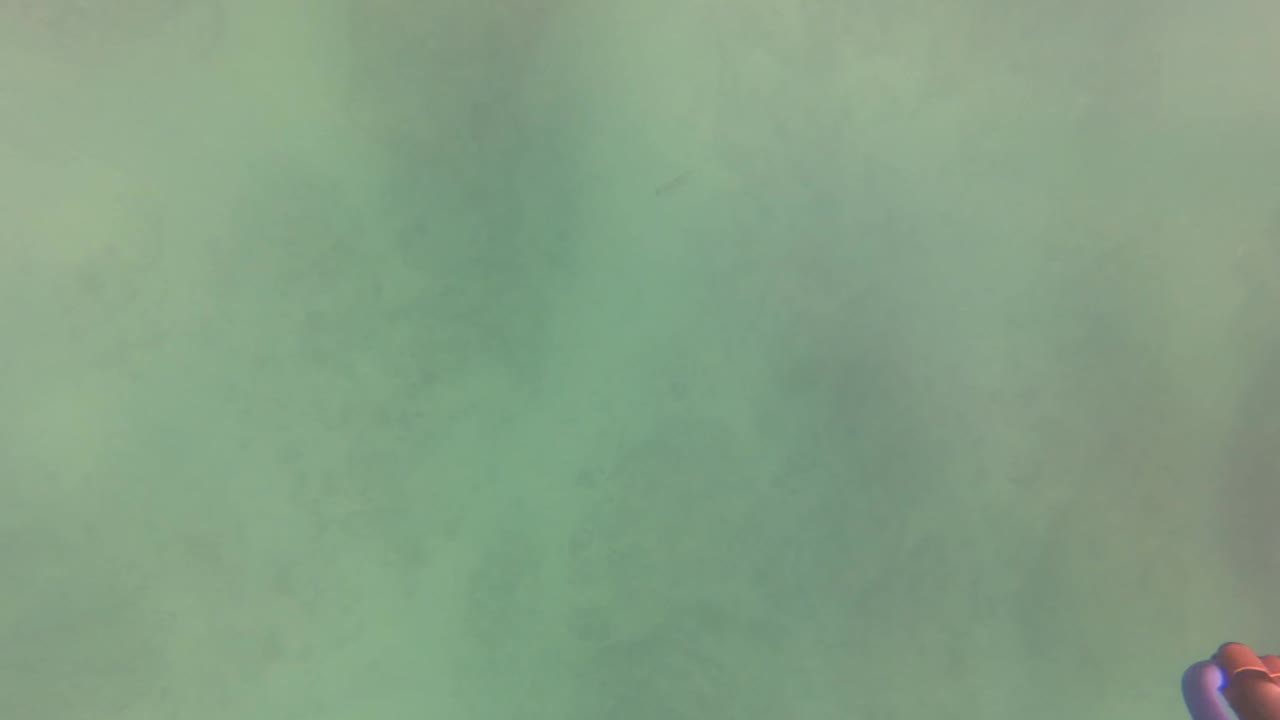 Murky San Jose Del Cabo underwater frame with green water, faint seabed detail, and a red gloved hand entering at the far right edge.