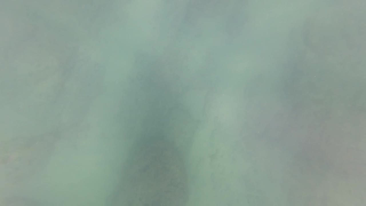 Murky green underwater water column in San Jose Del Cabo with soft blur, diffuse light, and no visible people in this opening frame.