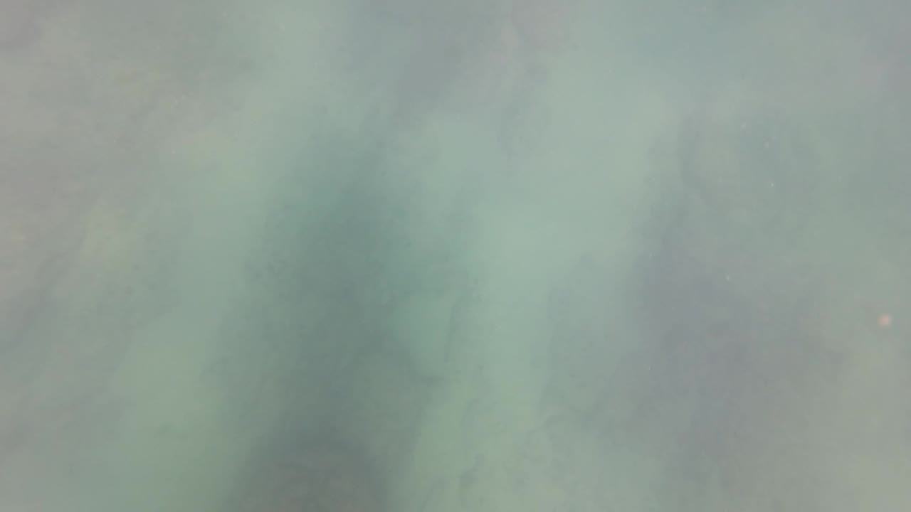 Cloudy green underwater view in San Jose Del Cabo with darker soft patches in the background and no visible people at this moment.