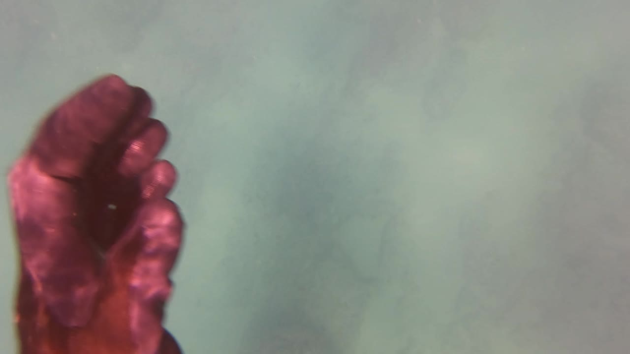 A reddish human hand with fingers is briefly visible near the upper right of a murky green underwater frame in San Jose Del Cabo, with no face or recognizable person shown.