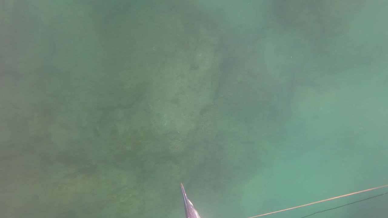 Turquoise underwater view with a fishing line near the lower edge