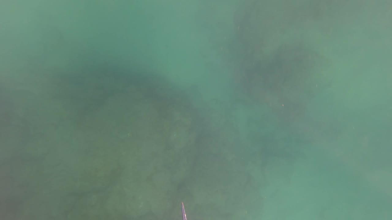 Clear San Jose Del Cabo underwater view with the fishing line stretched across the lower foreground over a muted rocky seabed and no visible people.