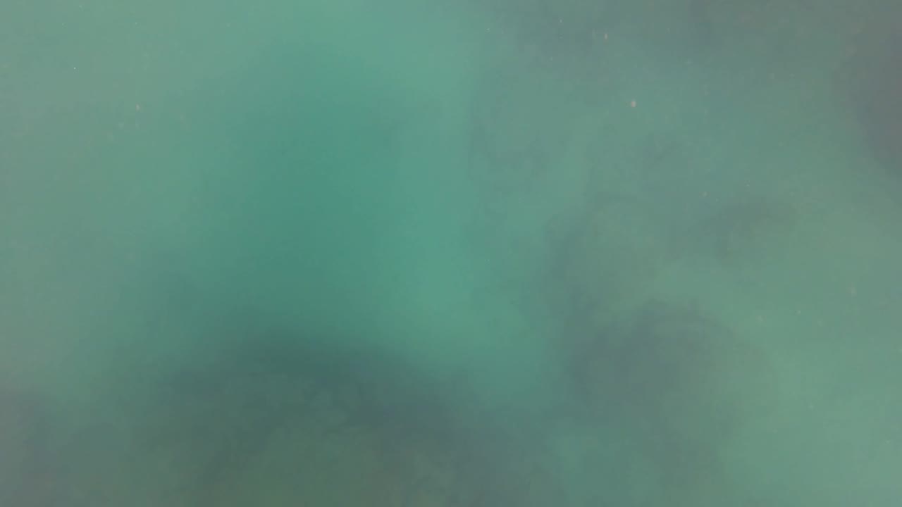 Cloudier turquoise water in San Jose Del Cabo fills the frame with a soft rocky seabed visible beneath and no visible people.