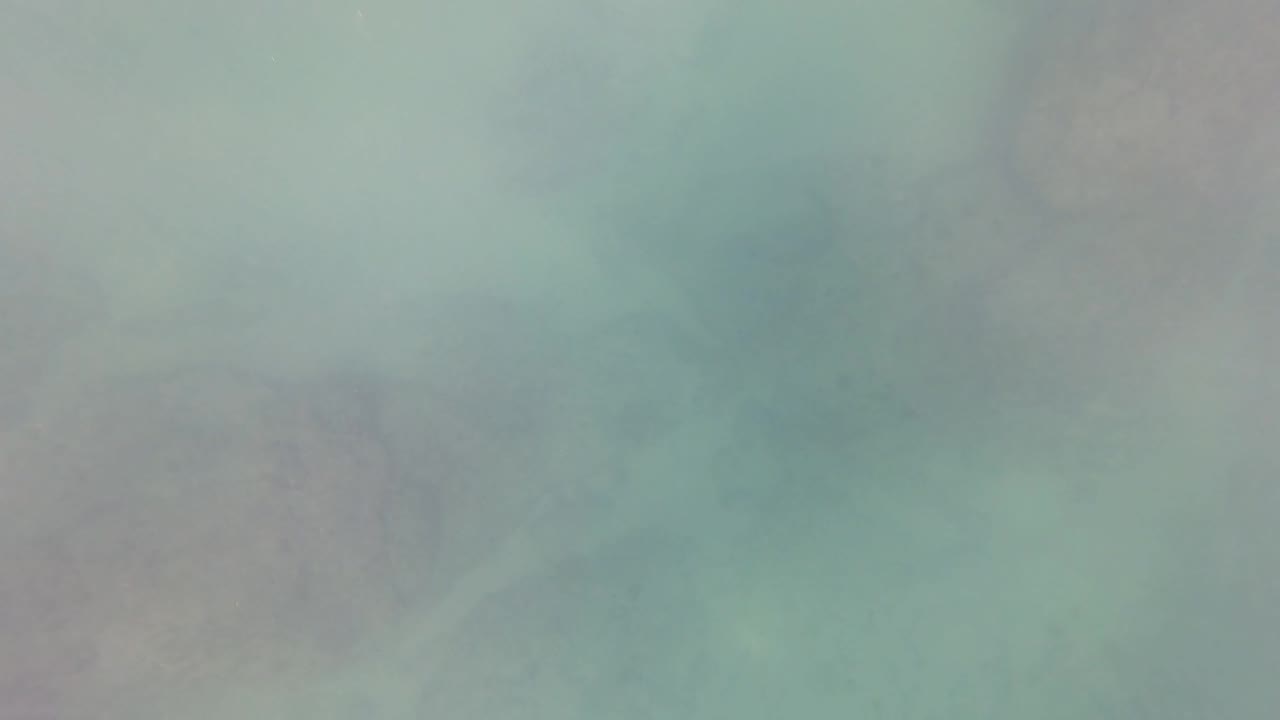 Turquoise water column in San Jose del Cabo with muted seabed forms visible through haze and no visible people.