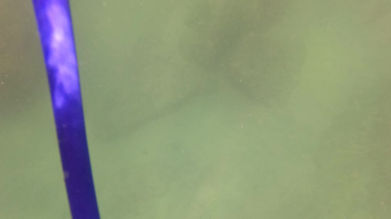 Soft murky green water in San Jose Del Cabo, Baja California Sur, with a blurred blue vertical shape near the lower frame and no visible people.
