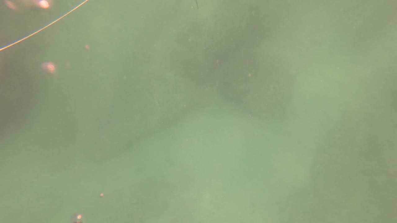 Murky green water in San Jose Del Cabo, Baja California Sur, with a thin line near the upper frame, faint surface highlights, and no visible people.