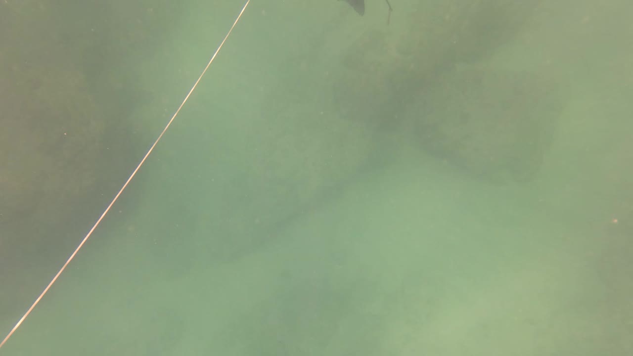 A diagonal fishing line crosses murky green water in San Jose Del Cabo, Baja California Sur, with soft underwater shadows and no visible people.