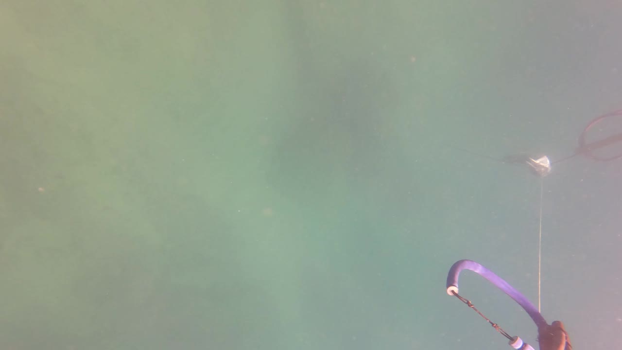 Purple kite control bar in cloudy turquoise water