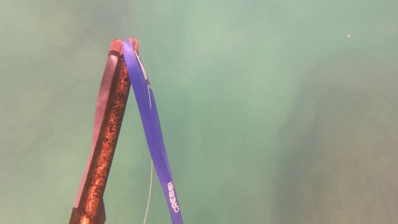 A purple Cressi diving float leans beside a rusty underwater metal piece in green water at San Jose Del Cabo, with no visible people.