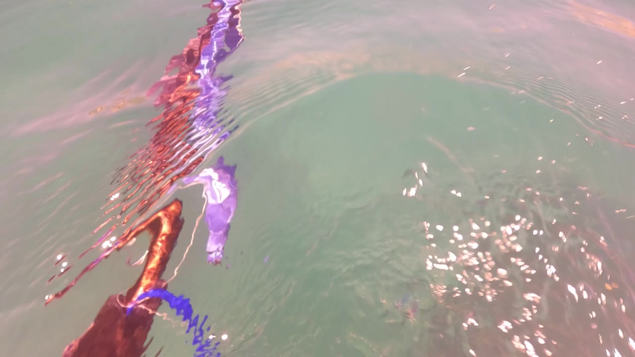 Surface ripples distort the purple float and rusty structure in clear green water at San Jose Del Cabo, with no visible people.