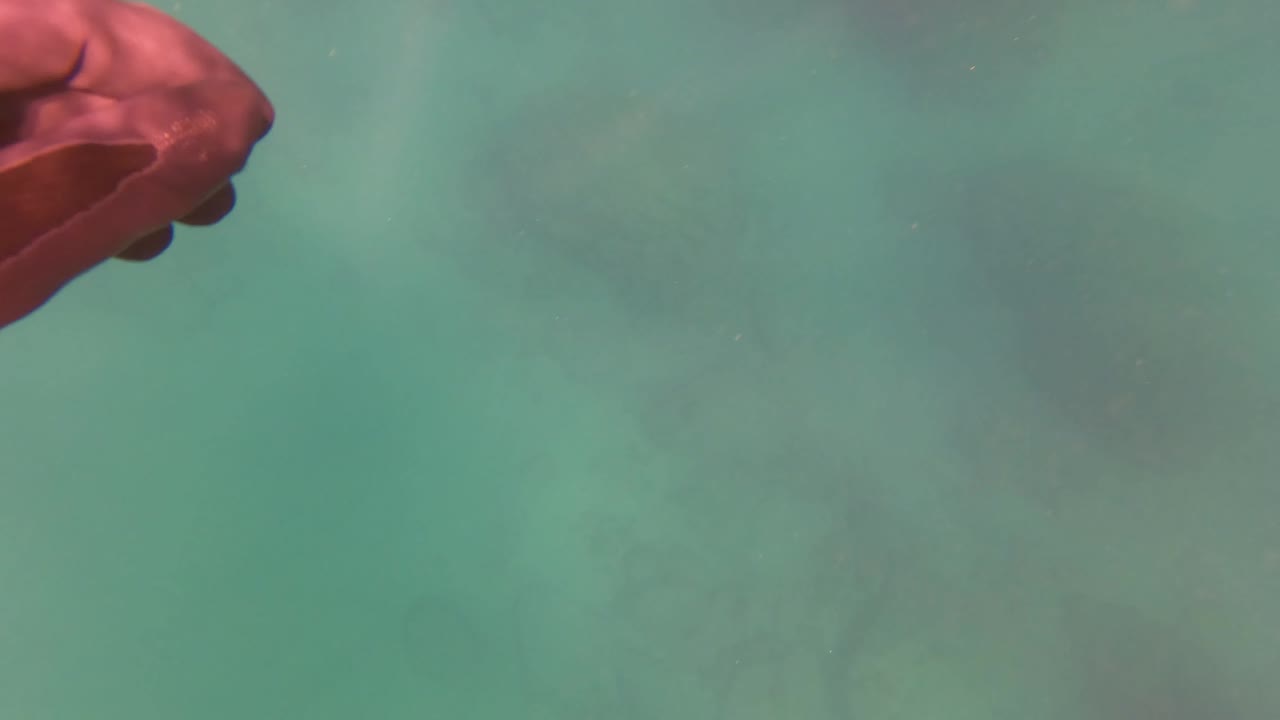 Gloved hand entering clear turquoise water from the top edge