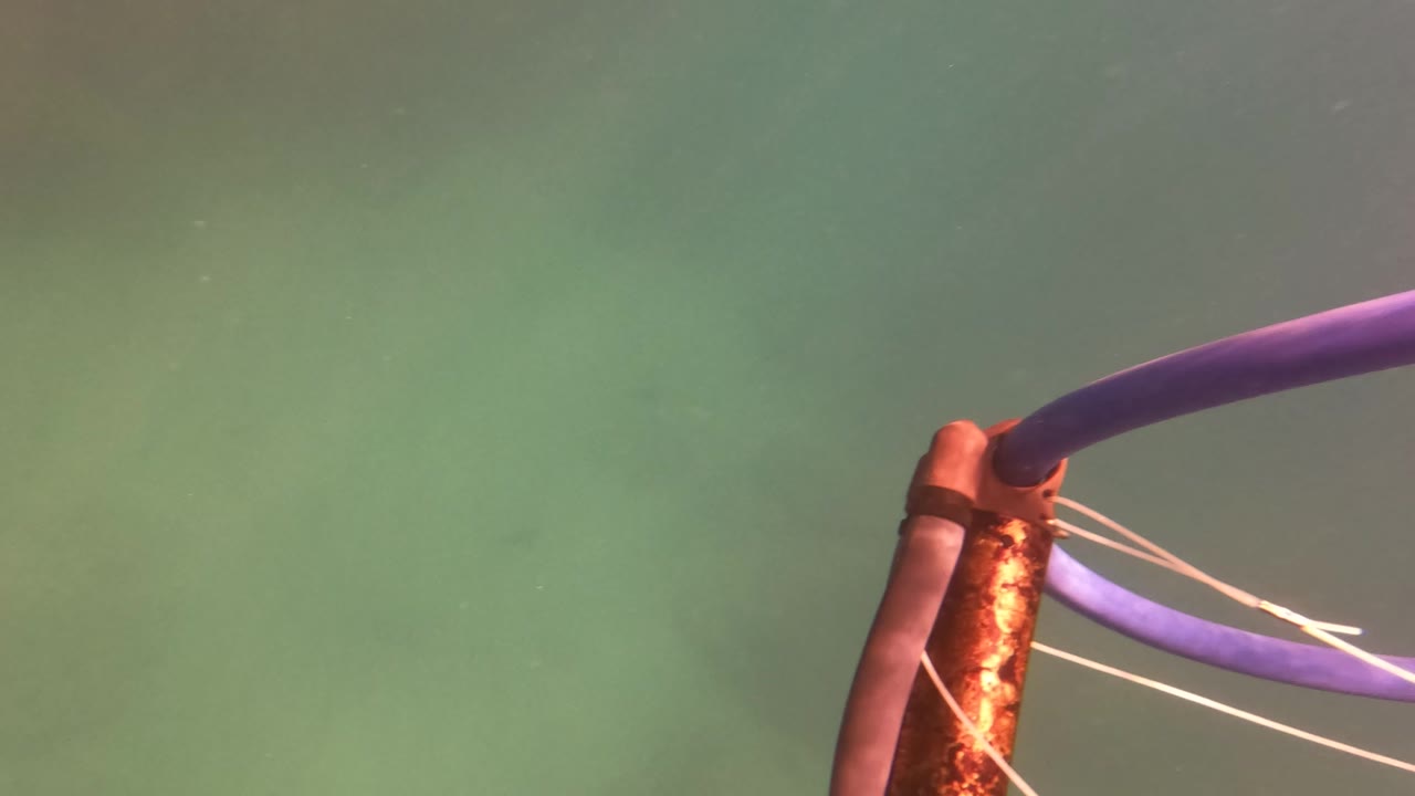 Rusty anchor hardware and a purple hose sit partly underwater in green ocean water in San Jose del Cabo, with no visible people.