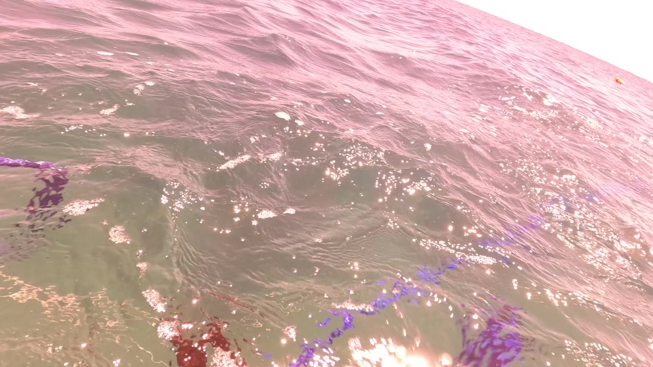 Ocean surface with purple hose and rusty gear near the lower edge.