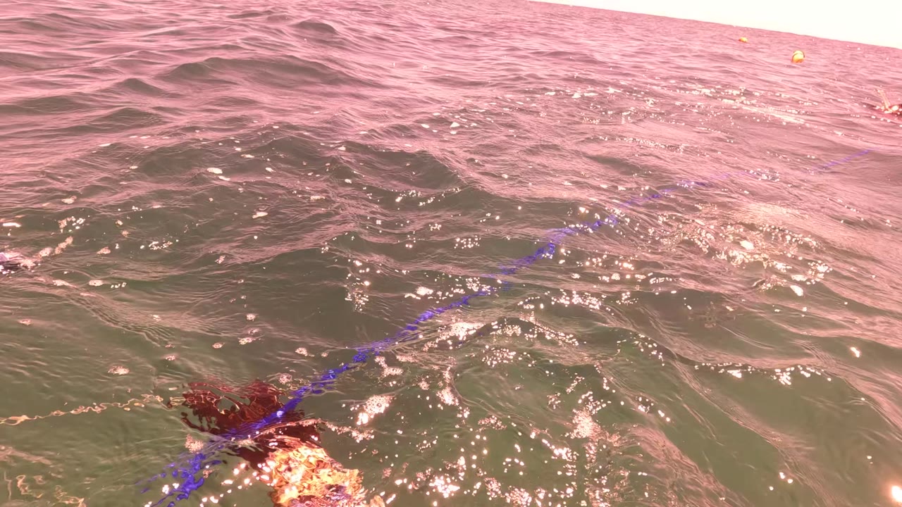 Choppy pink-lit water in San Jose del Cabo surrounds the partly submerged rusty anchor and purple hose, with no visible people.