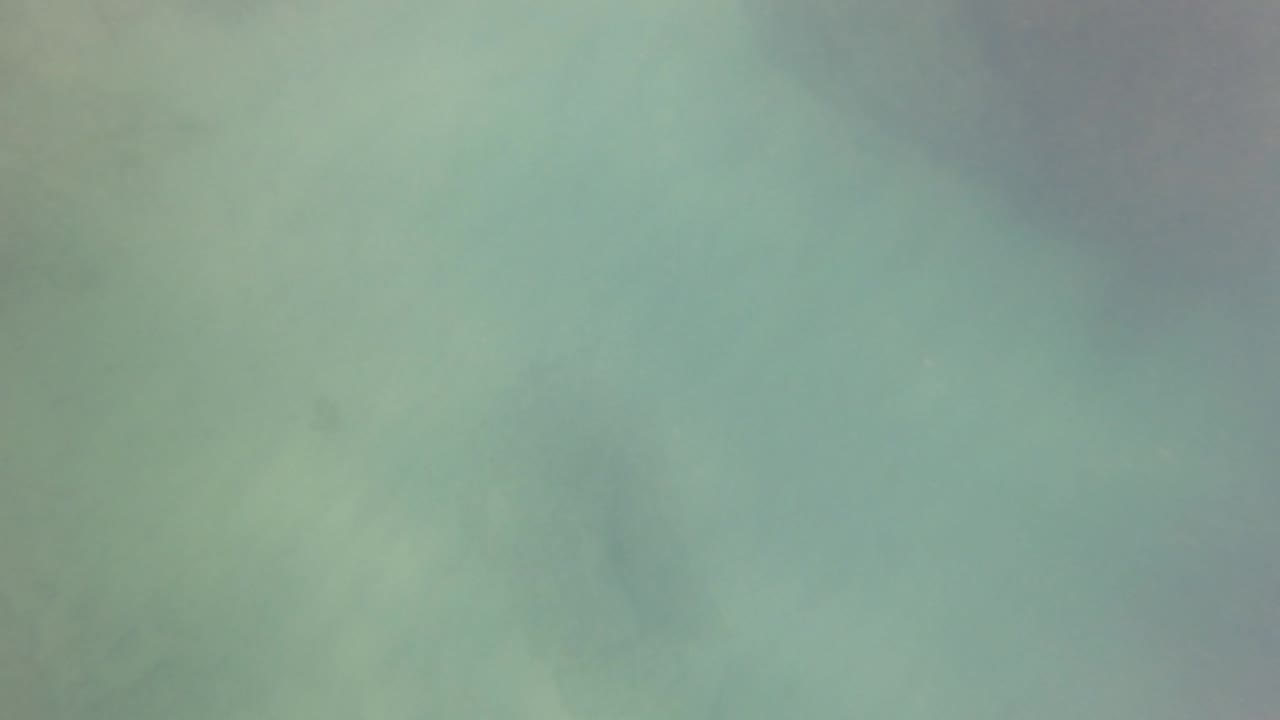 Clear green-blue water in San Jose Del Cabo fills the frame with faint underwater texture and no visible people.