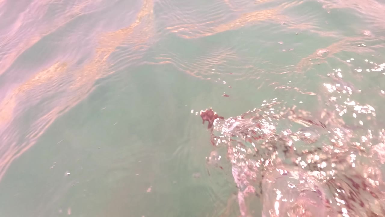 Close water-level view in San Jose del Cabo with green ocean surface, pink sunlight reflections, and a small splash breaking near the lower center, with no visible people.